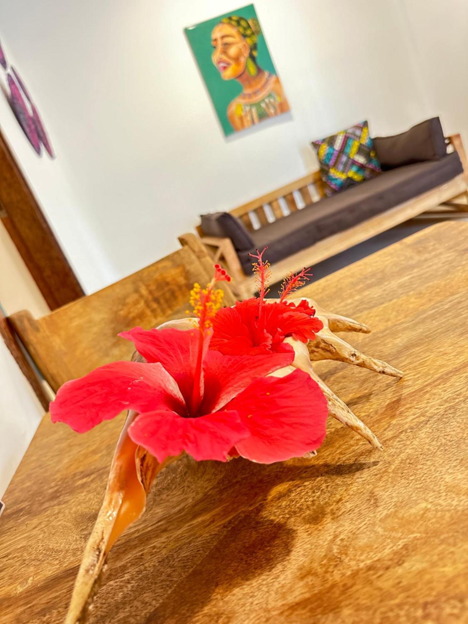Sand Beach Boutique Apartments Bwejuu Ngoại thất bức ảnh