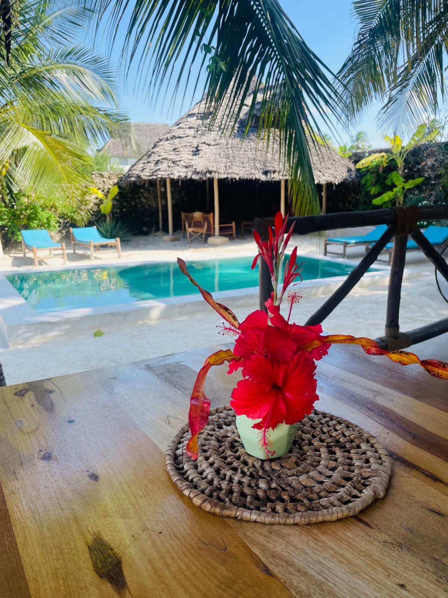 Sand Beach Boutique Apartments Bwejuu Ngoại thất bức ảnh