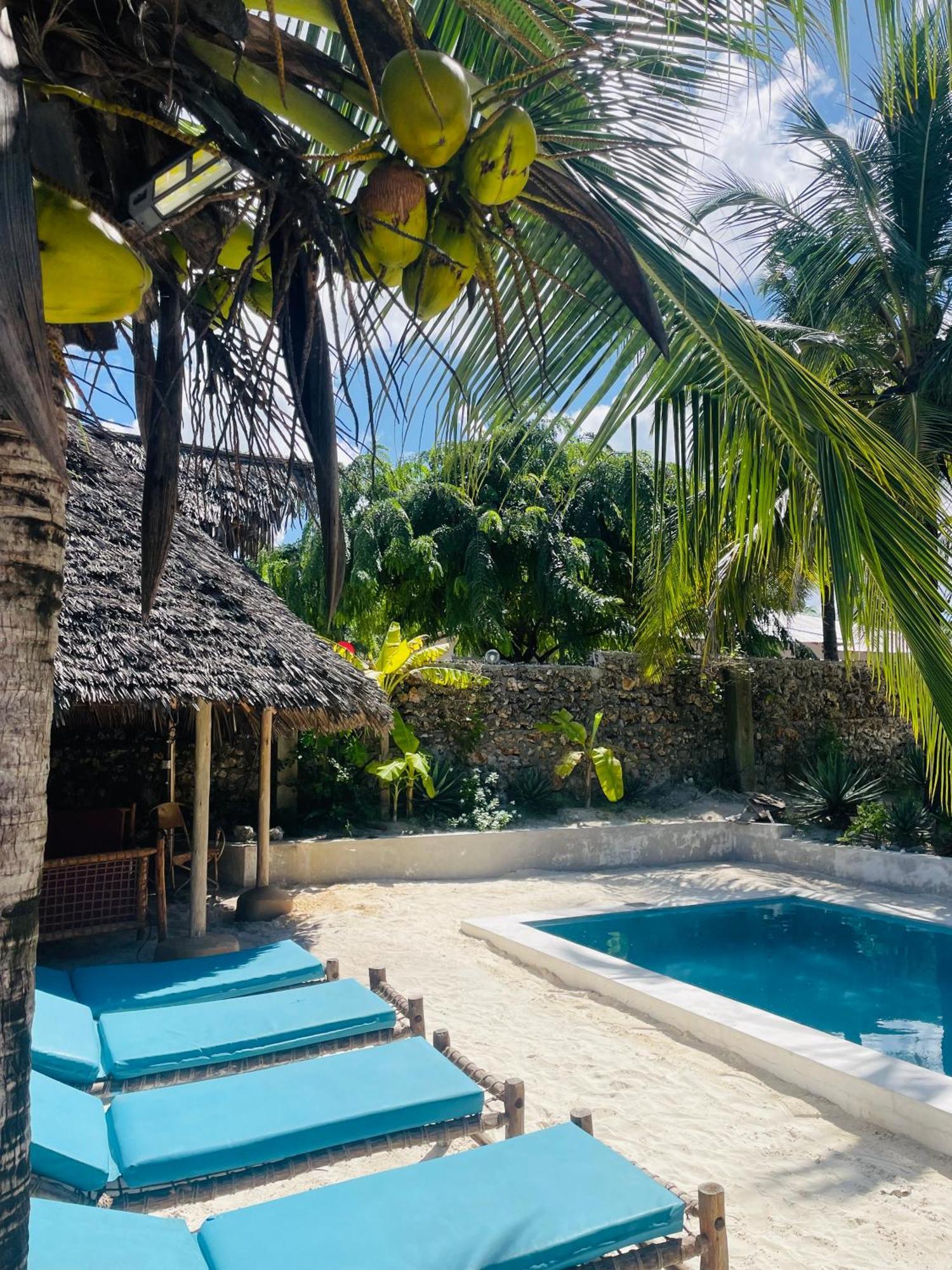Sand Beach Boutique Apartments Bwejuu Ngoại thất bức ảnh