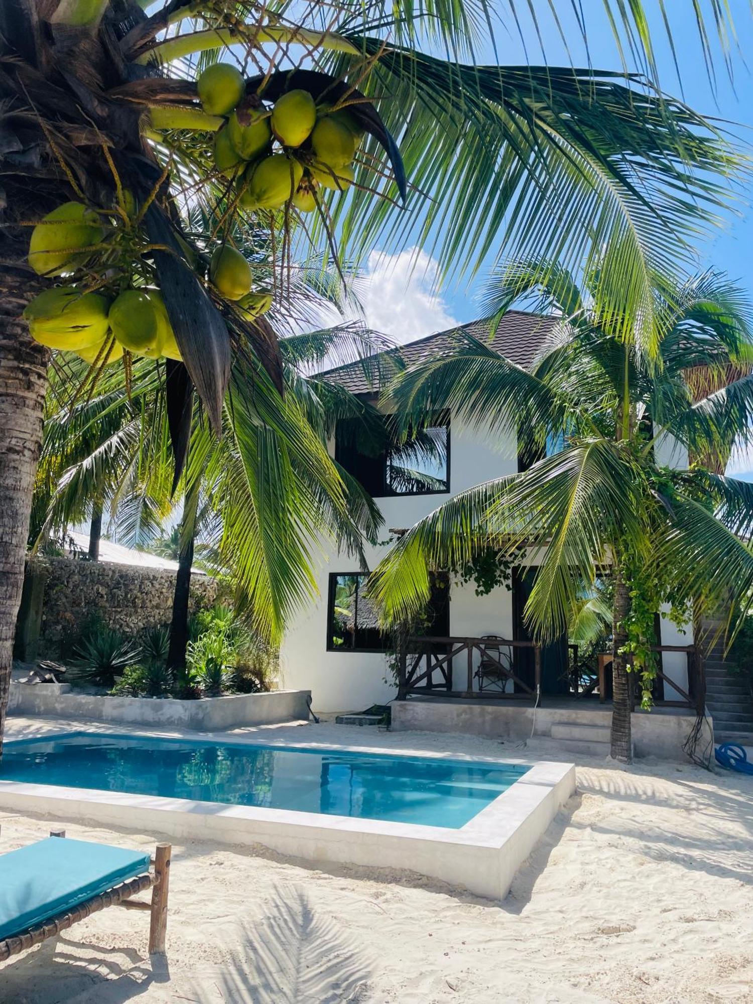 Sand Beach Boutique Apartments Bwejuu Ngoại thất bức ảnh